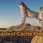 WP Fastest Cache WordPress Plugin