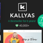 KALLYAS – Creative eCommerce Multi Purpose WordPress Theme