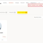 BuddyPress Recent Profile Visitors