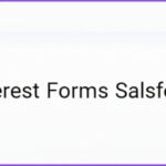 Everest Forms Salesforce